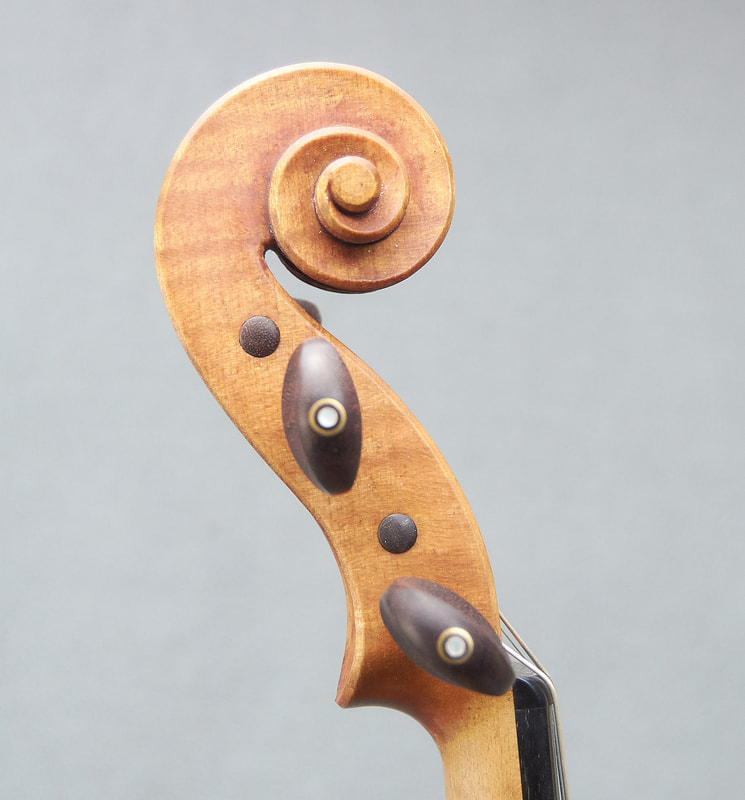 The scroll of a beautiful, handmade Titan Model Violin by Andrew Woods (side view). 