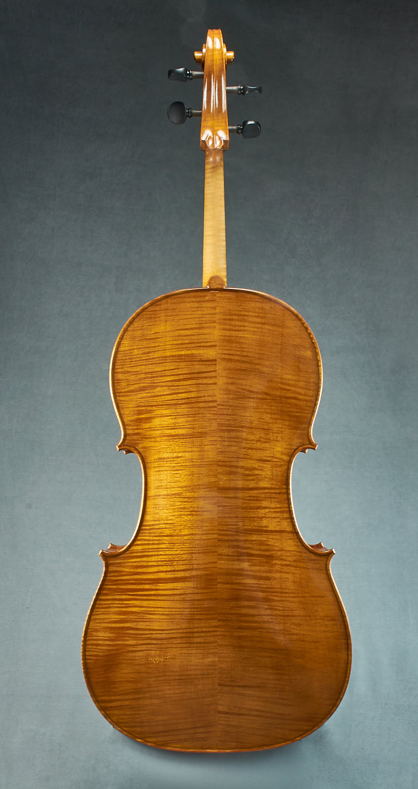 Brazenose Cello Etere back handmade