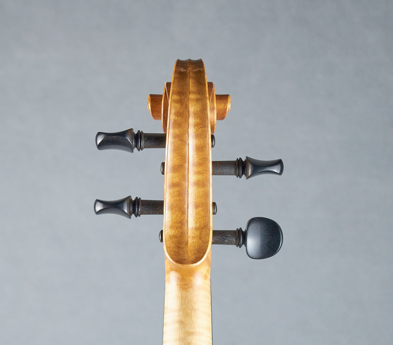 The scroll of a hand made Brazenose Etere violin (back view). 