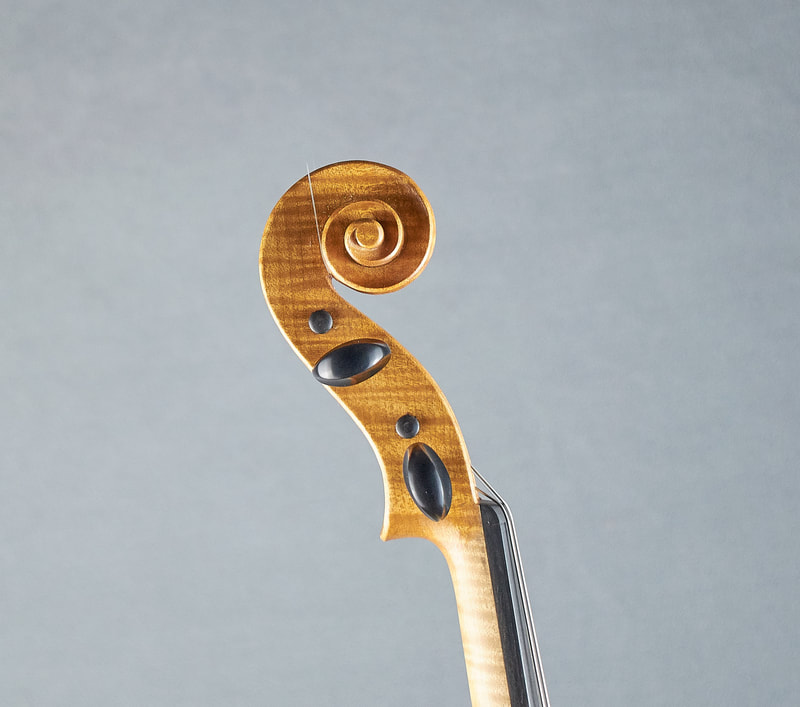 The scroll of a hand made Brazenose Etere violin (side view). 