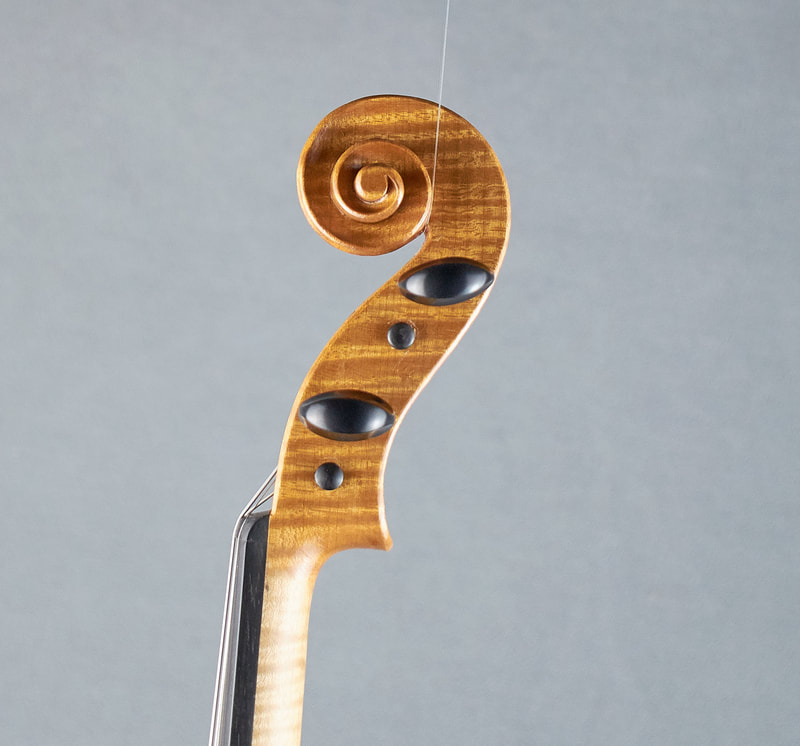 The scroll of a hand made Brazenose Etere violin (side view). 