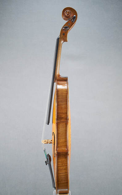 An antique, handmade Dresden Violin with purpling motif on the back circa 1850.