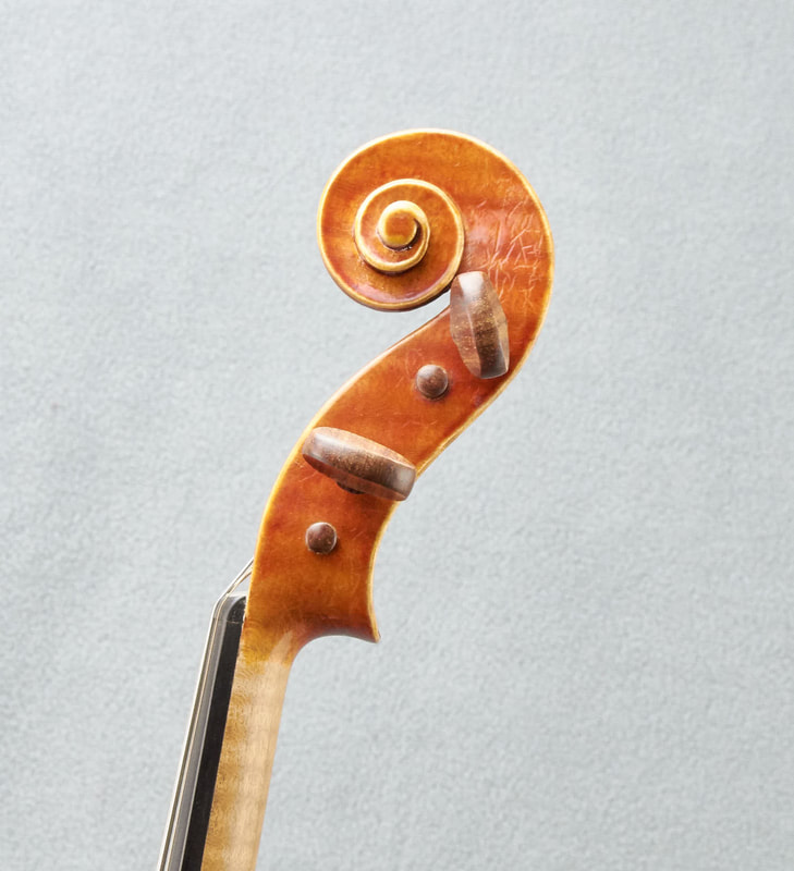 The scroll of a James Stephenson Violin (2016) with beautiful handmade varnish (side view).