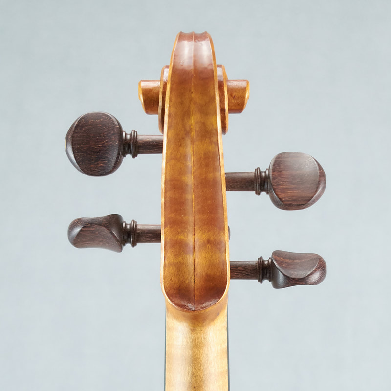 The scroll of a beautiful, handmade Messiah Model Violin by Andrew Woods (back view). 