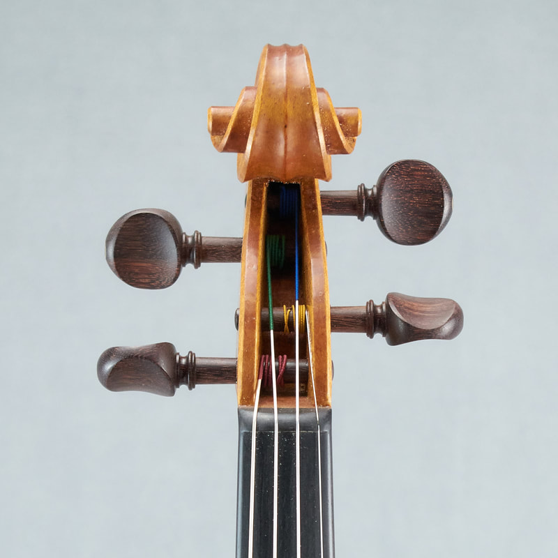 The scroll of a beautiful, handmade Messiah Model Violin by Andrew Woods (front view). 