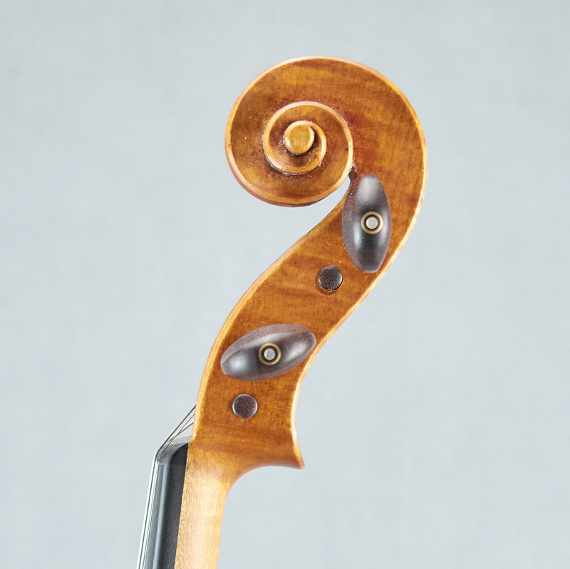 The scroll of a beautiful, handmade Messiah Model Violin by Andrew Woods (side view). 