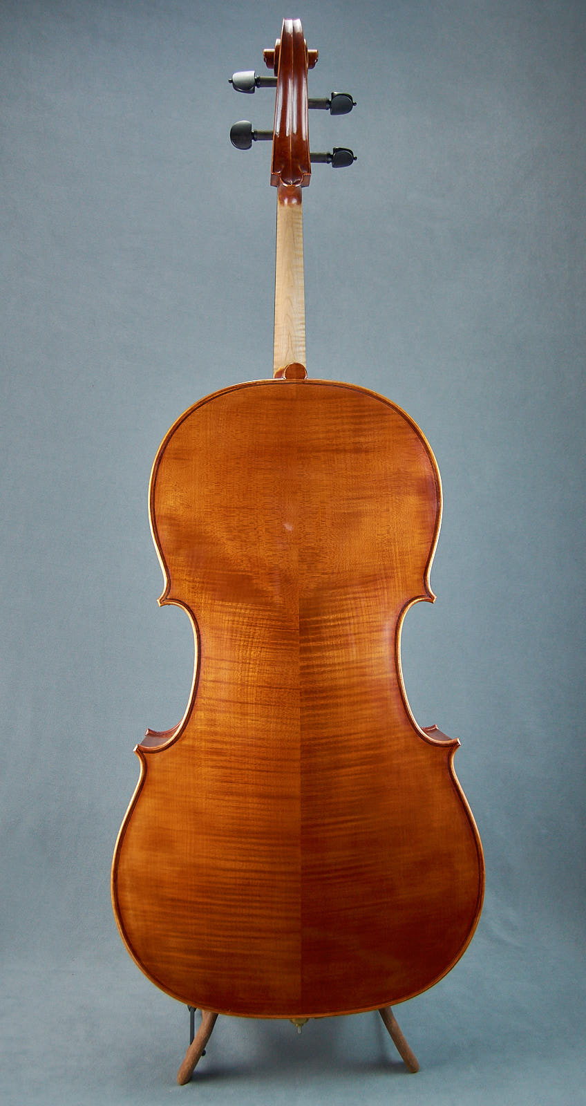 Brazenose Cello Terra back handmade